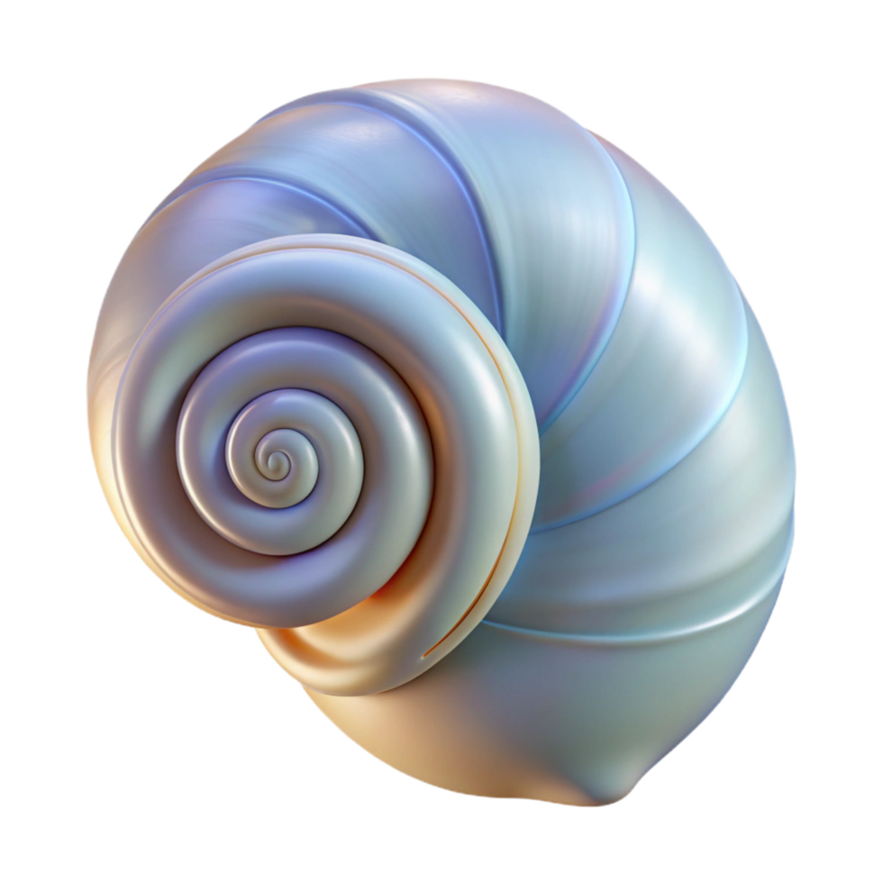 serene contemporary Spiral seashell high quality png