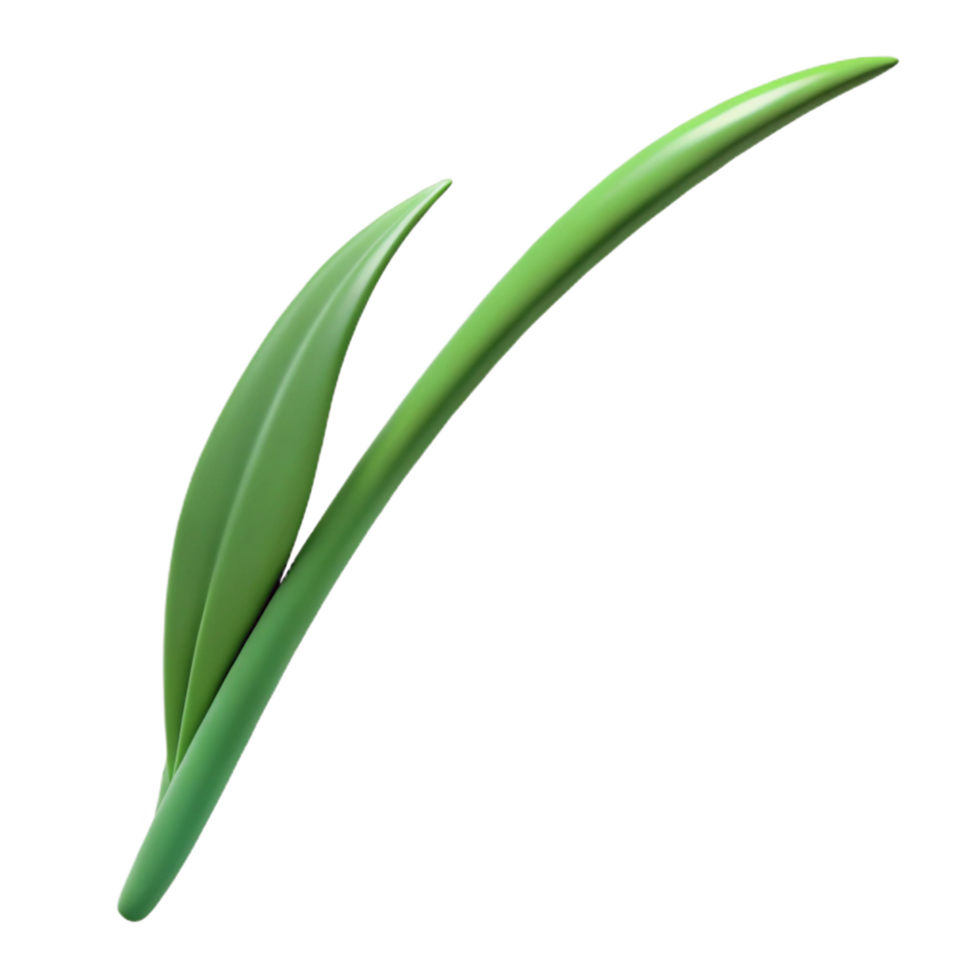 stunning traditional Single blade of grass high resolution png