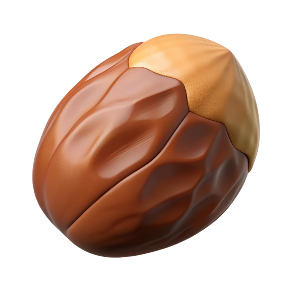 stunning vintage Brazil nut 4K png