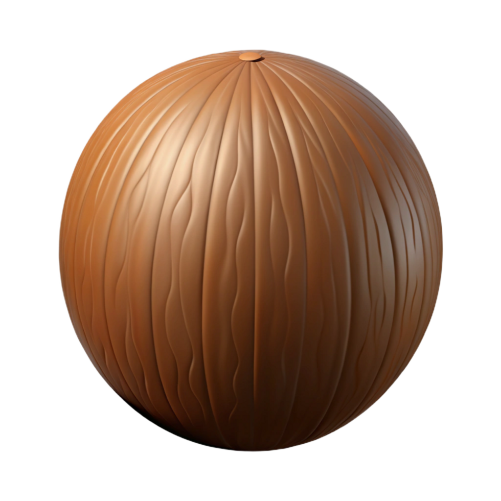 elegant modern Single brown coconut premium png