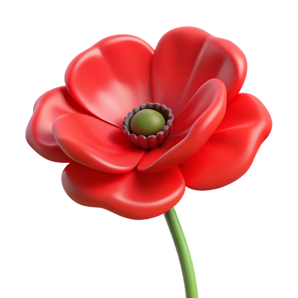 wonderful contemporary Single red poppy flower high resolution png