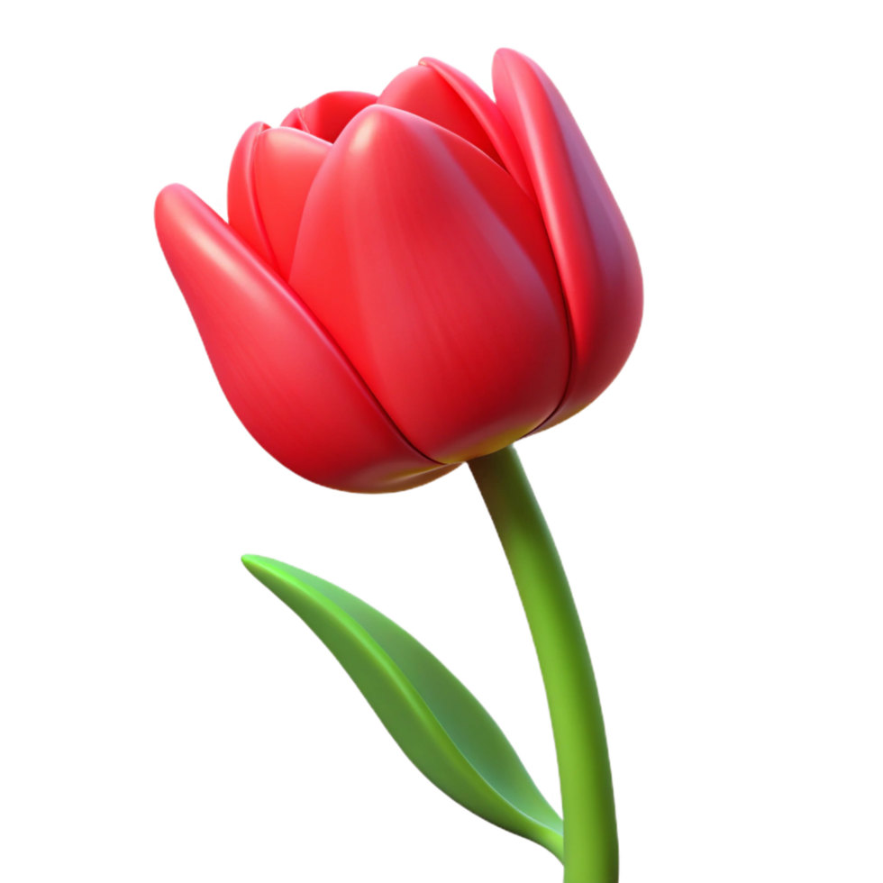 stunning minimalist Single red tulip flower professional png