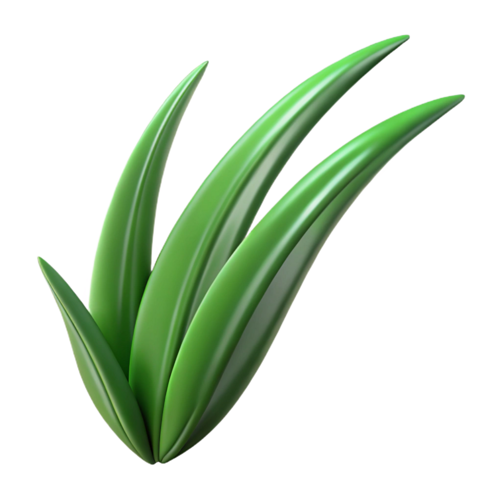 vibrant traditional Blade of grass authentic png