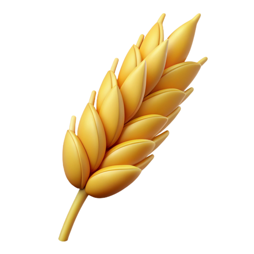 dramatic modern Wheat stalk with grains authentic png