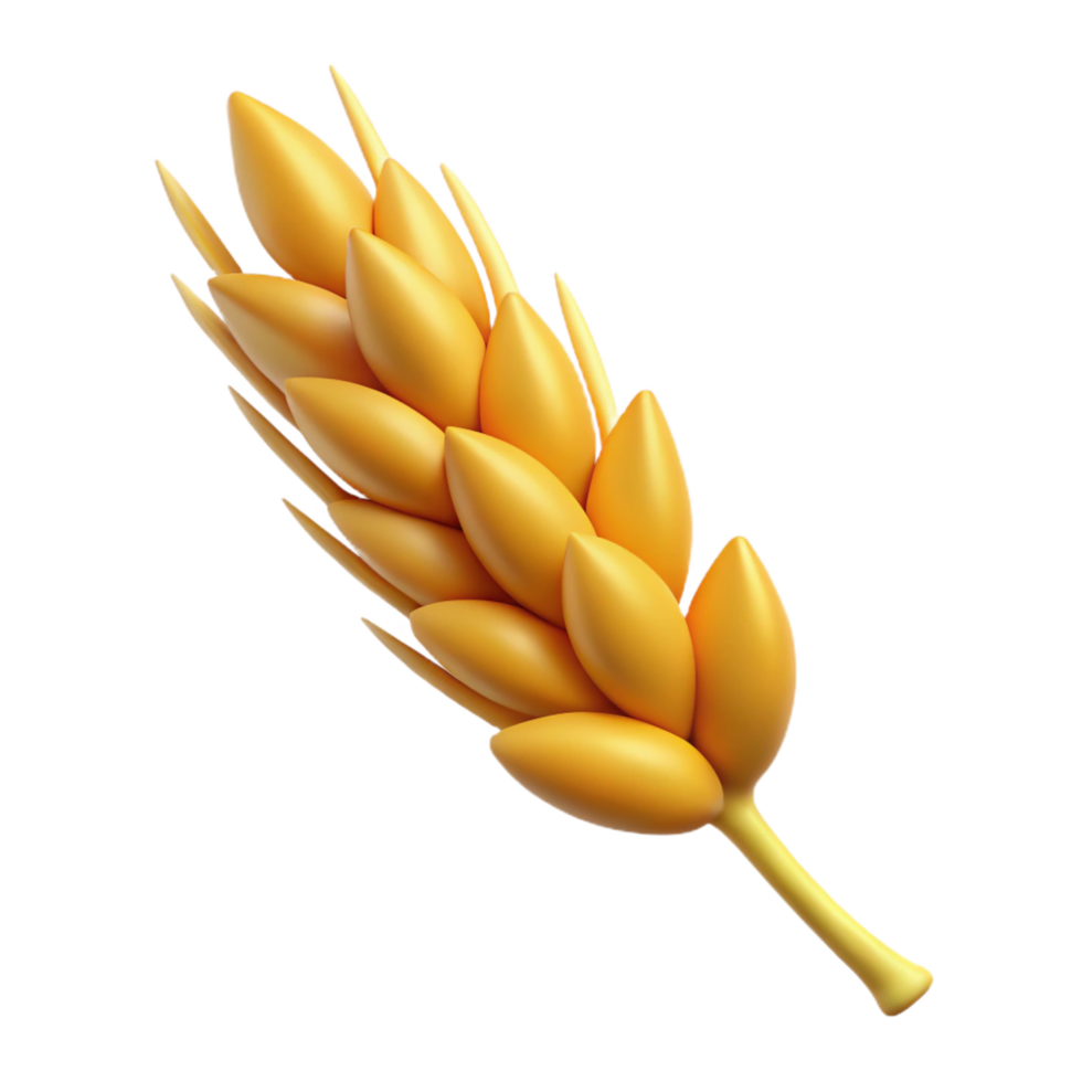 wonderful modern Wheat stalk with grains high quality png