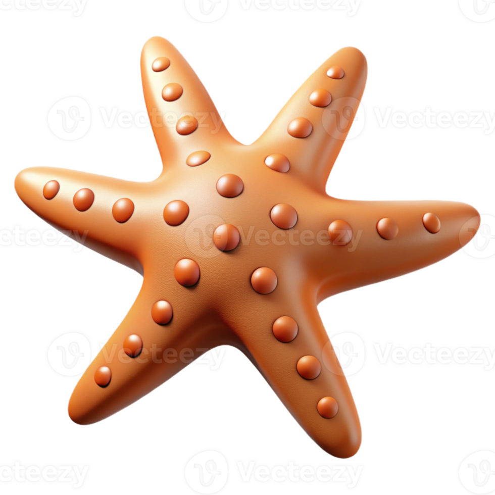 beautiful creative A starfish with five arms high resolution png