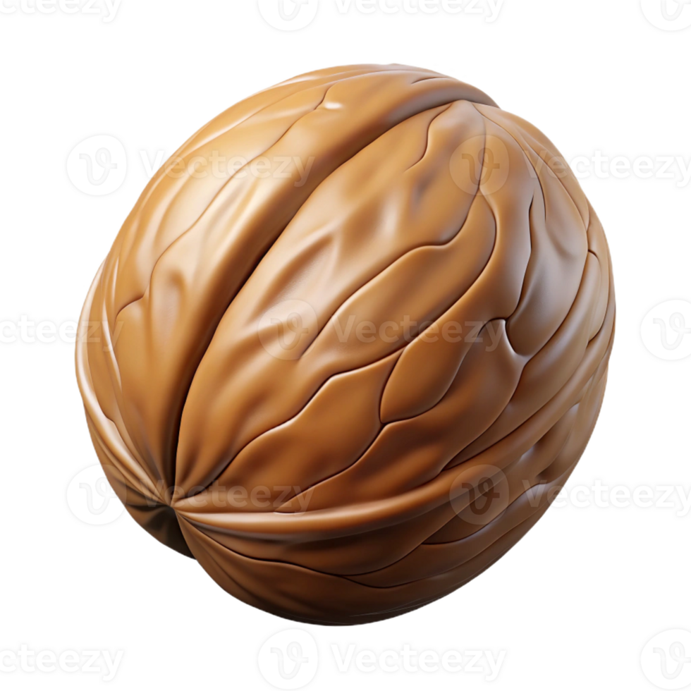 extraordinary minimalist Single walnut in shell professional png