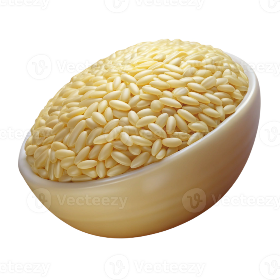 wonderful vintage Single grain of rice authentic png