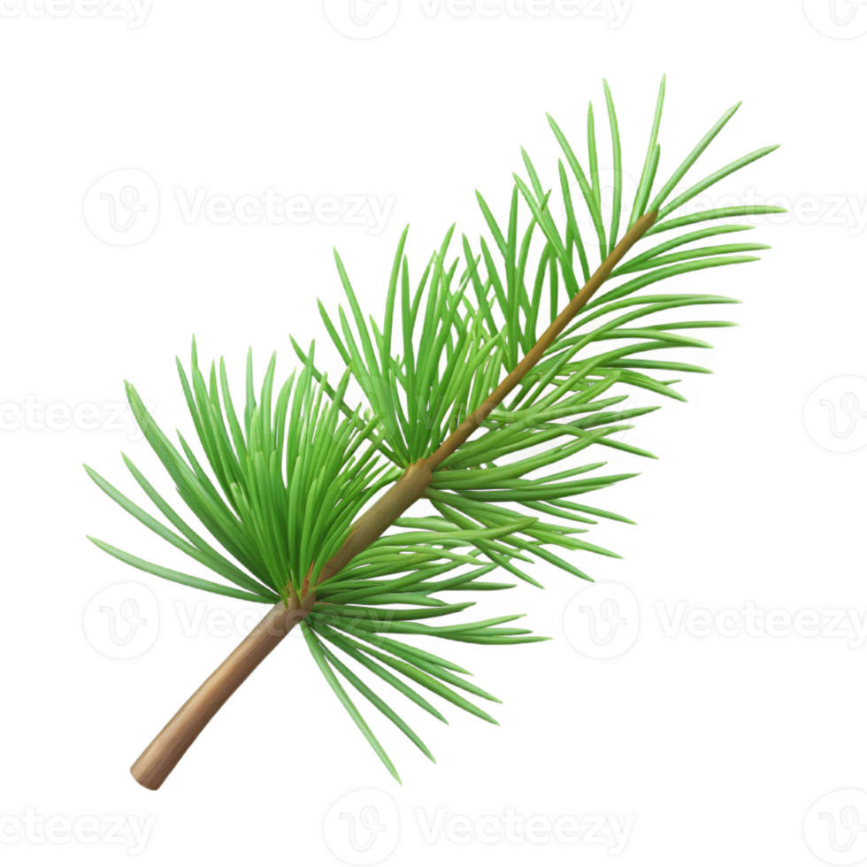 stunning contemporary Branch with pine needles exclusive png