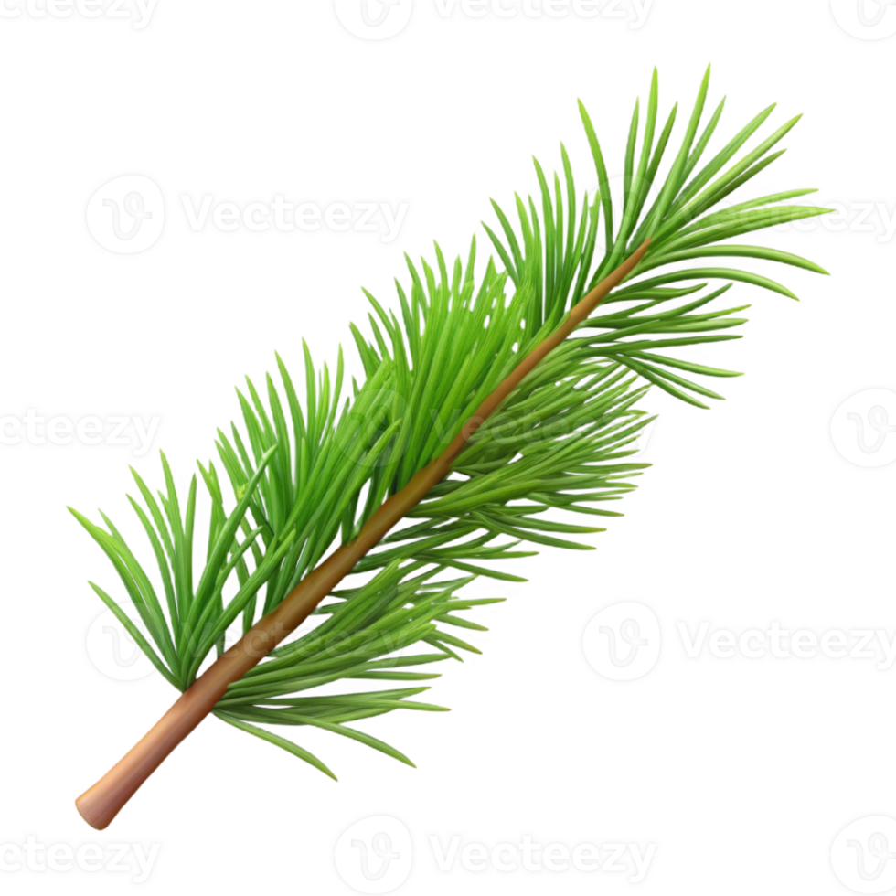 serene modern Branch with pine needles exclusive png