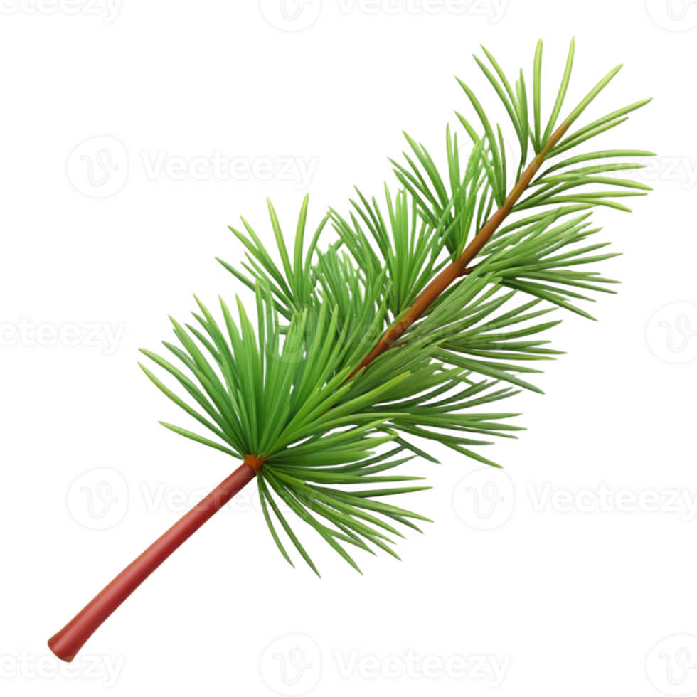 magnificent traditional Branch with pine needles high quality png