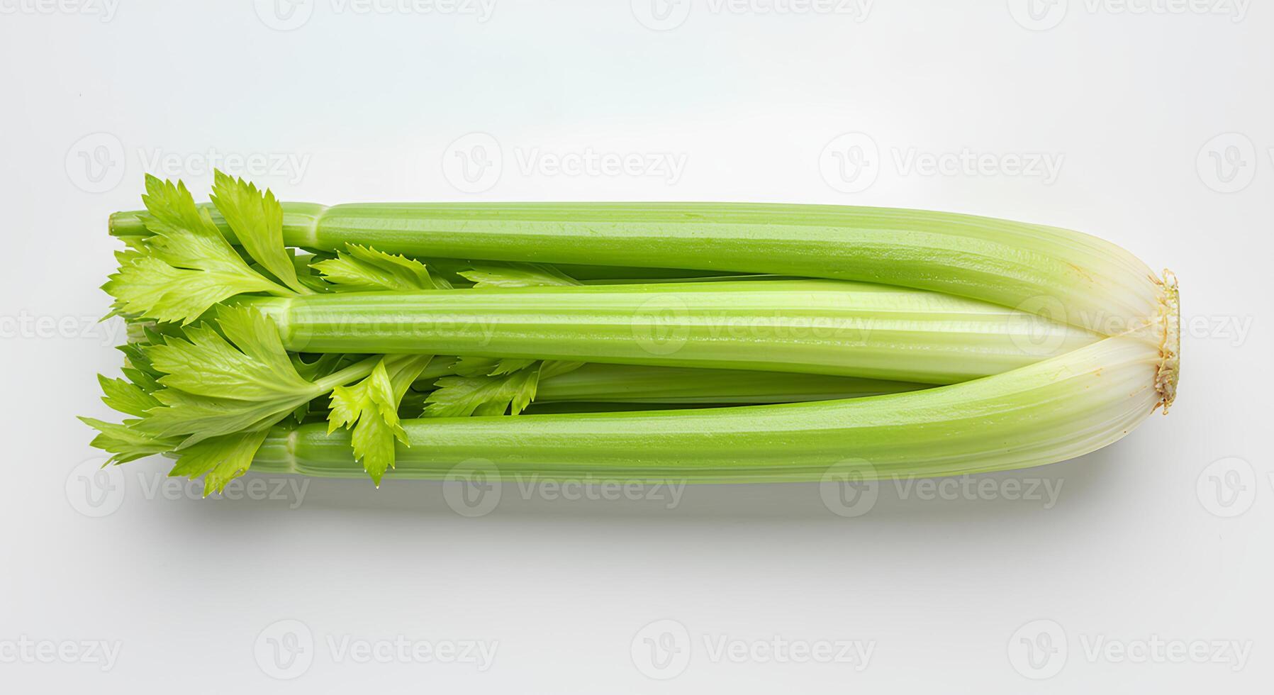 celery isolated on white background with shadow. fresh celery stick full of vitamins. celery vegetable photo