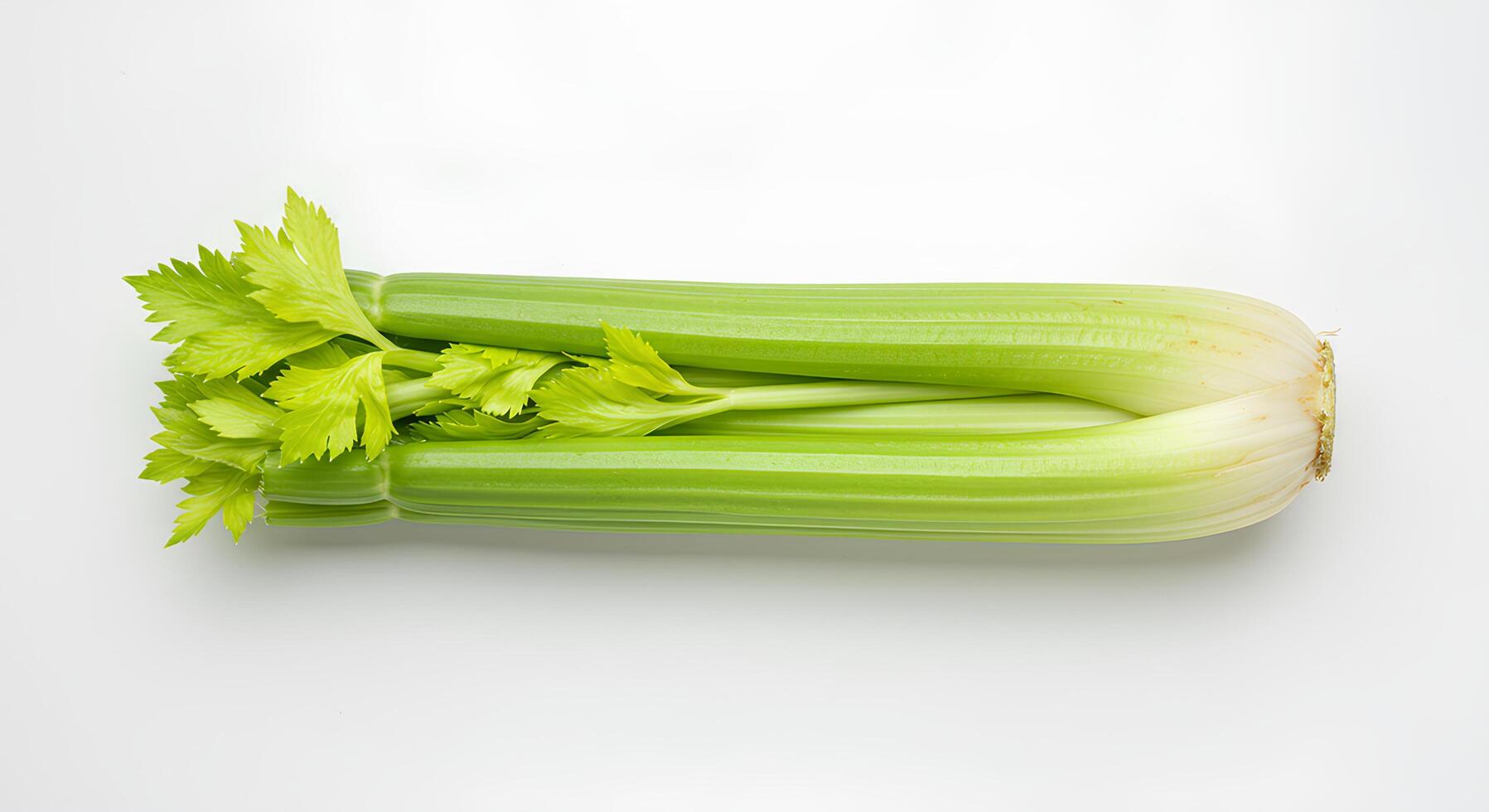 Whole celery stalk with leafy greens isolated on white background with realistic shadow. Organic and fresh celery vegetable for vegan, vegetarian, and detox food themes photo