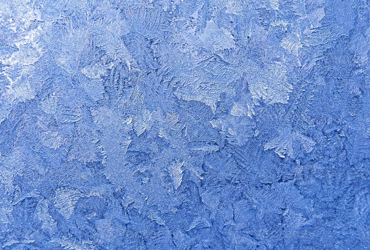 Frozen window texture 2 photo