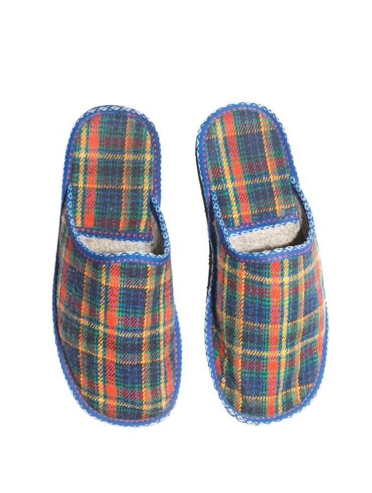 Checked slippers over white 2 photo