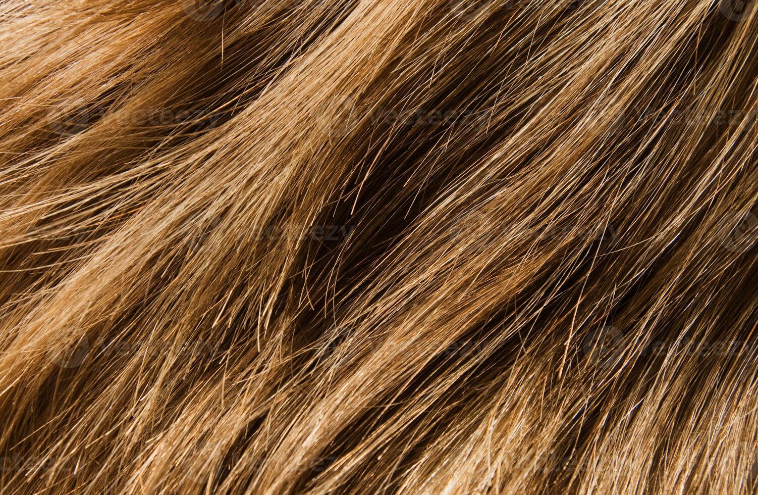 Hair close up, texture photo