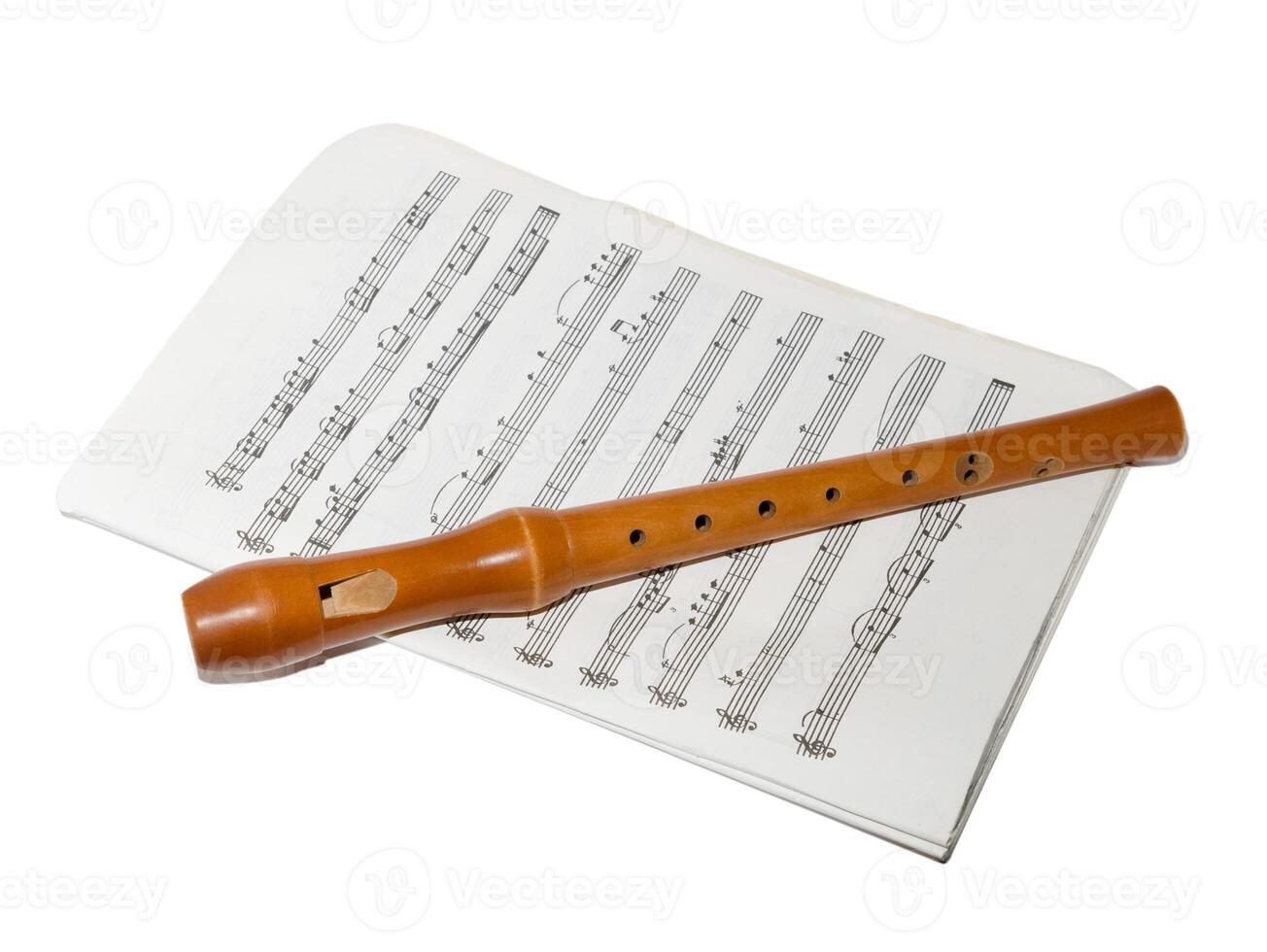 Recorder on a sheet music 2 photo