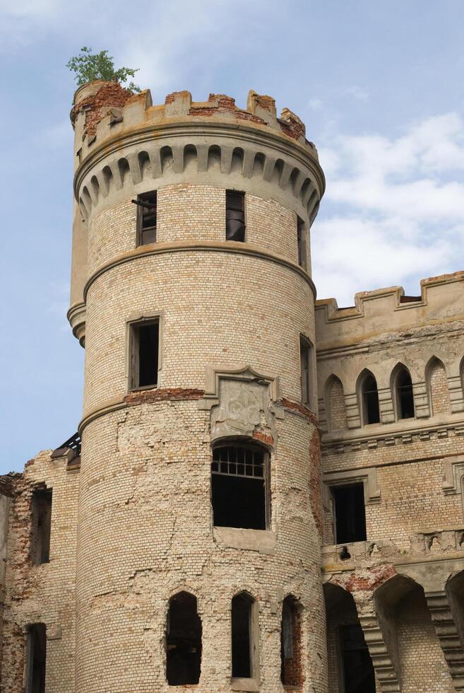 Old gothic tower 5 photo