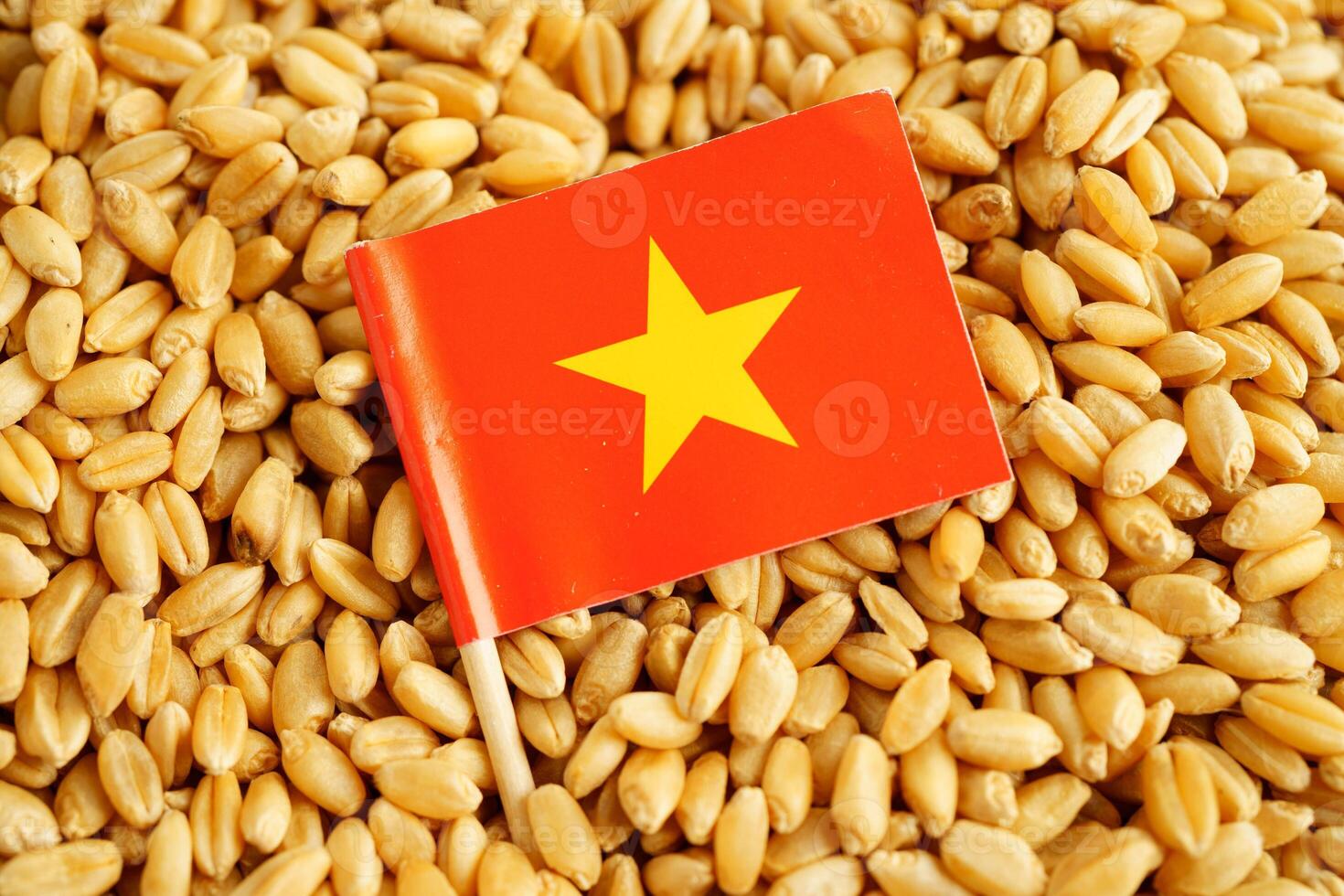 Vietnam flag on grain wheat, trade export and economy concept. photo