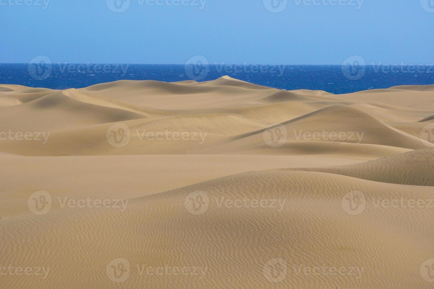 Sand dune with a sea at background in Maspalomas photo
