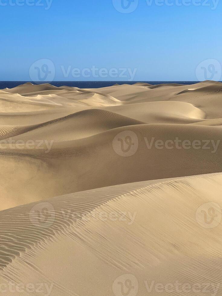 Sand dune with the sea at background in Maspalomas, Gran Canaria photo