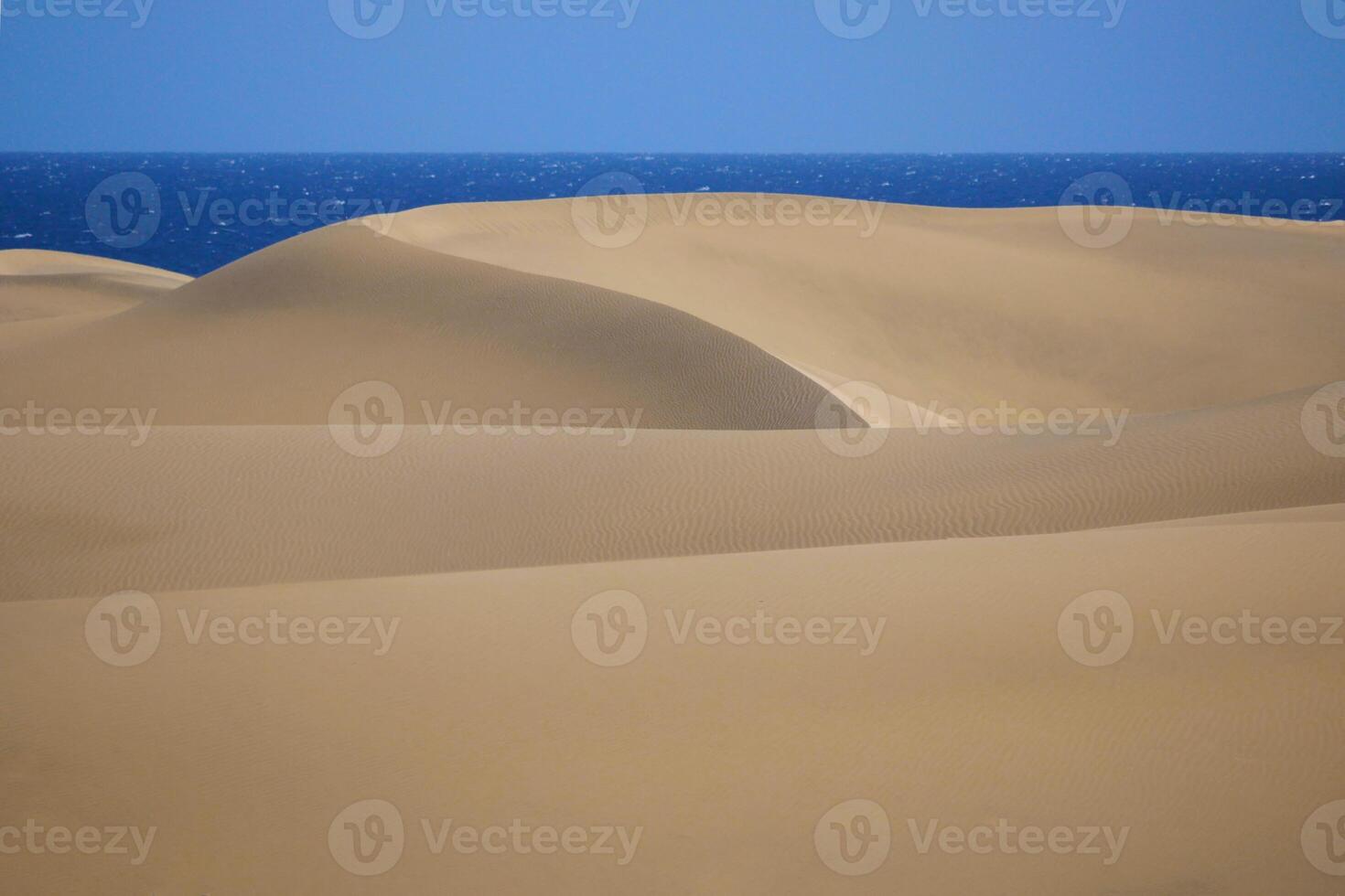 Sand dune with sea at the background in Maspalomas, Gran Canaria photo