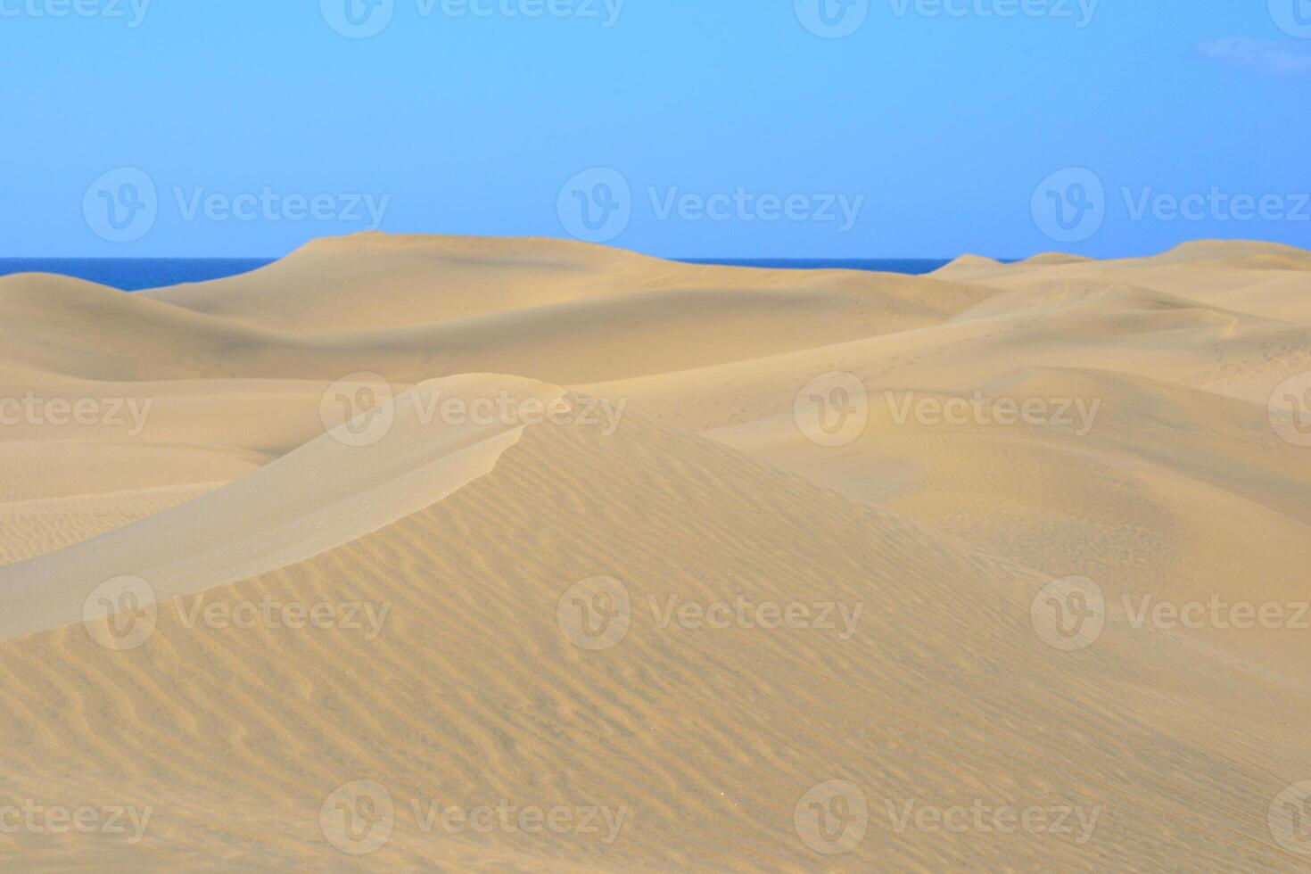 Sand dune with a sea at the background in Maspalomas, Gran Canaria. Sand barkhan with a wavy pattern photo