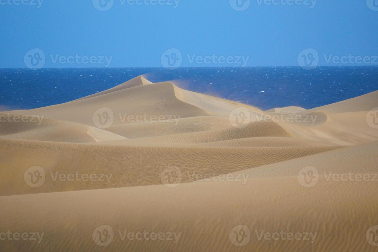 The sand dune with a sea at the background in Maspalomas, Gran Canaria. Wind is blowing sand grains away photo