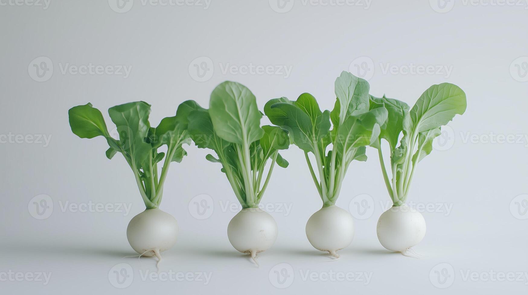 White radishes with green leaves, fresh and plump vegetables. 8 photo