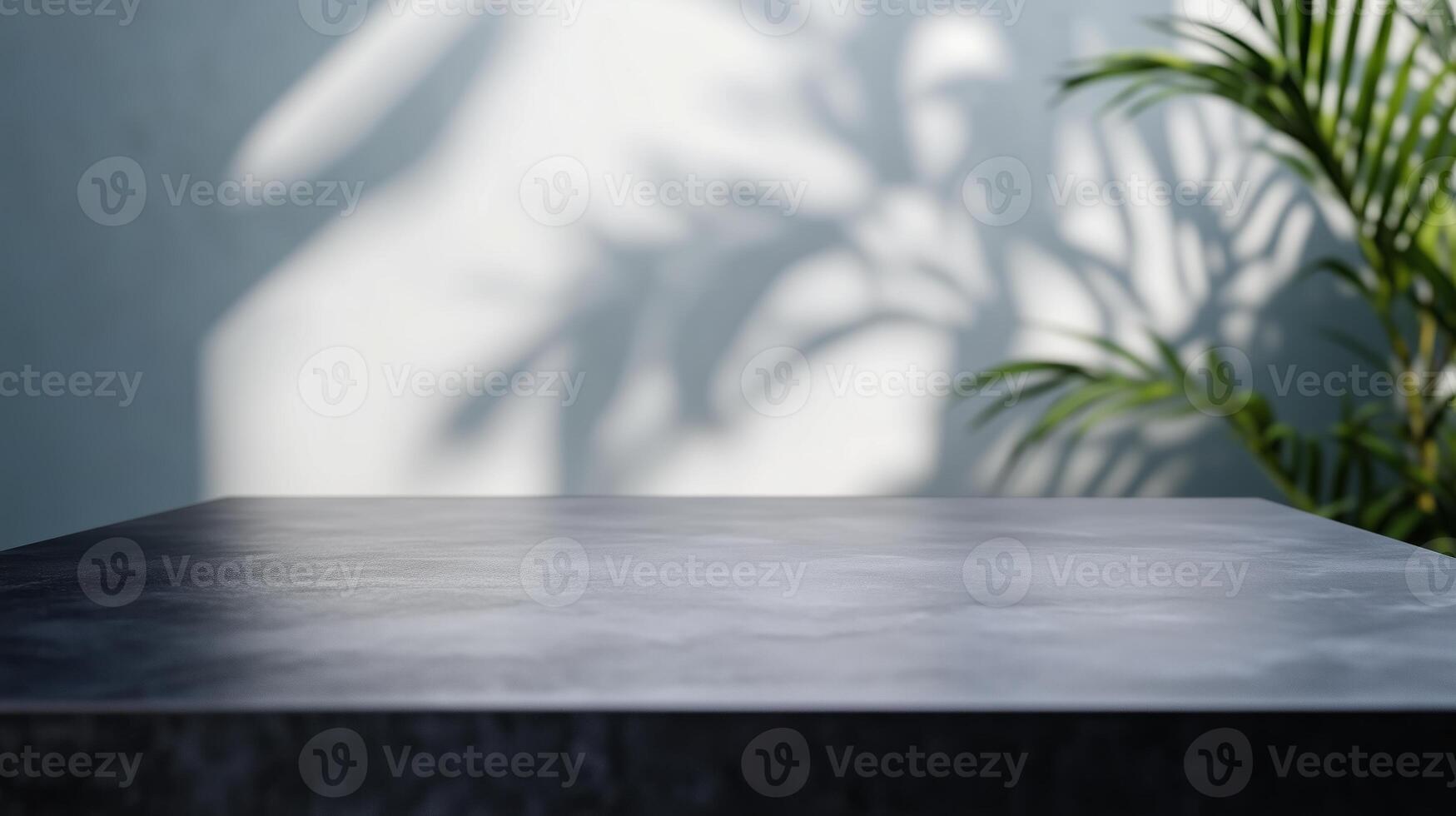 A black table and a plant in the background. 1 photo