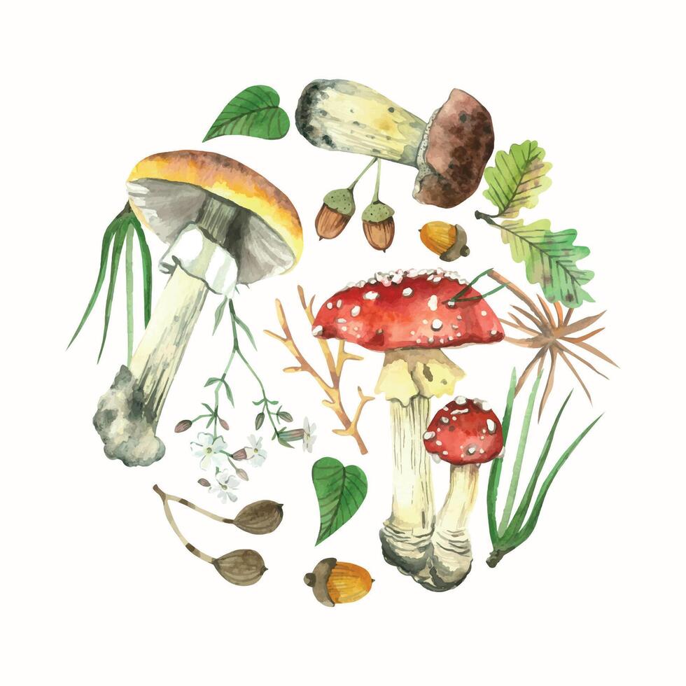 Round composition on a forest theme, mushrooms, acorns, oak leaves, flowers and wild berries. All objects are hand-painted with watercolors. Suitable for printing on postcards, decor and design vector