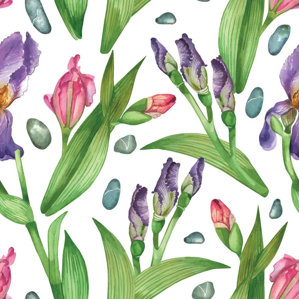 Seamless watercolor pattern. Purple and pink irises, dark-veined leaves, flower buds, sea pebbles. All objects are hand-drawn with watercolors. For printing on fabric, paper, stationery vector