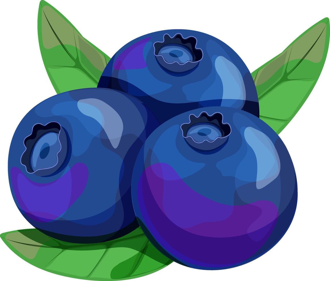Blueberry in cartoon style on white backdrop vector