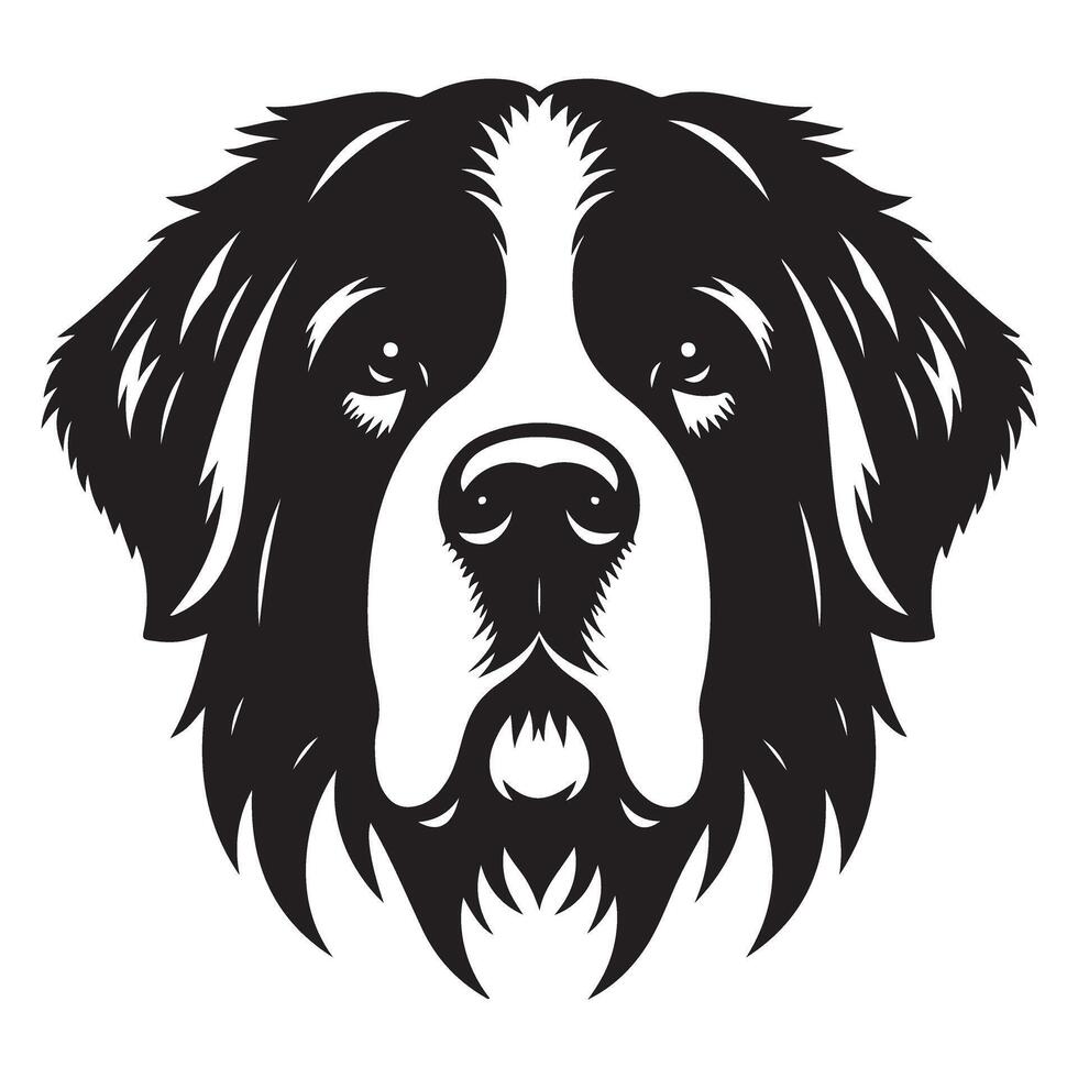 Saint Bernard Dog Breed Head with Strong Face Features vector