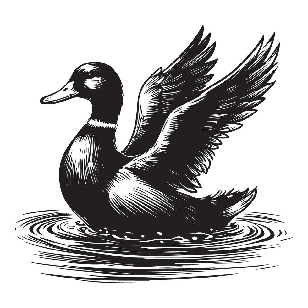 Detailed Duck Illustration in Water A Classic Wildlife Nature Artwork vector