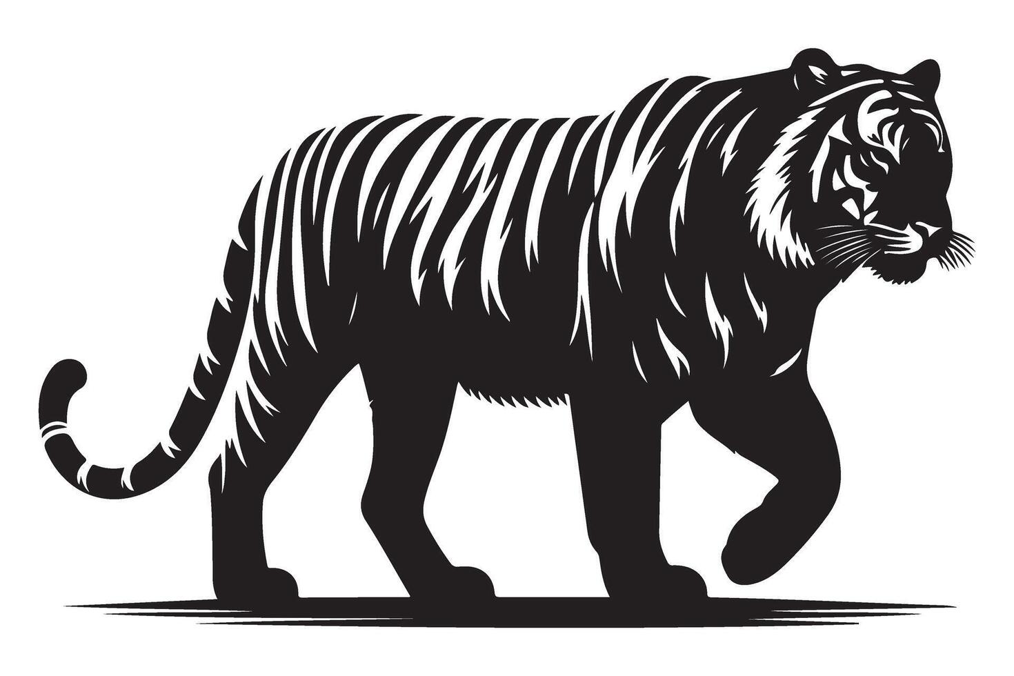 Majestic Black and White Tiger Illustration Print For Decorations vector