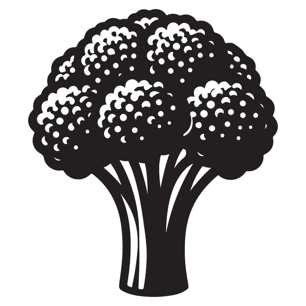 Broccoli Illustration Vegetable Design Healthy Food Graphic Artwork vector