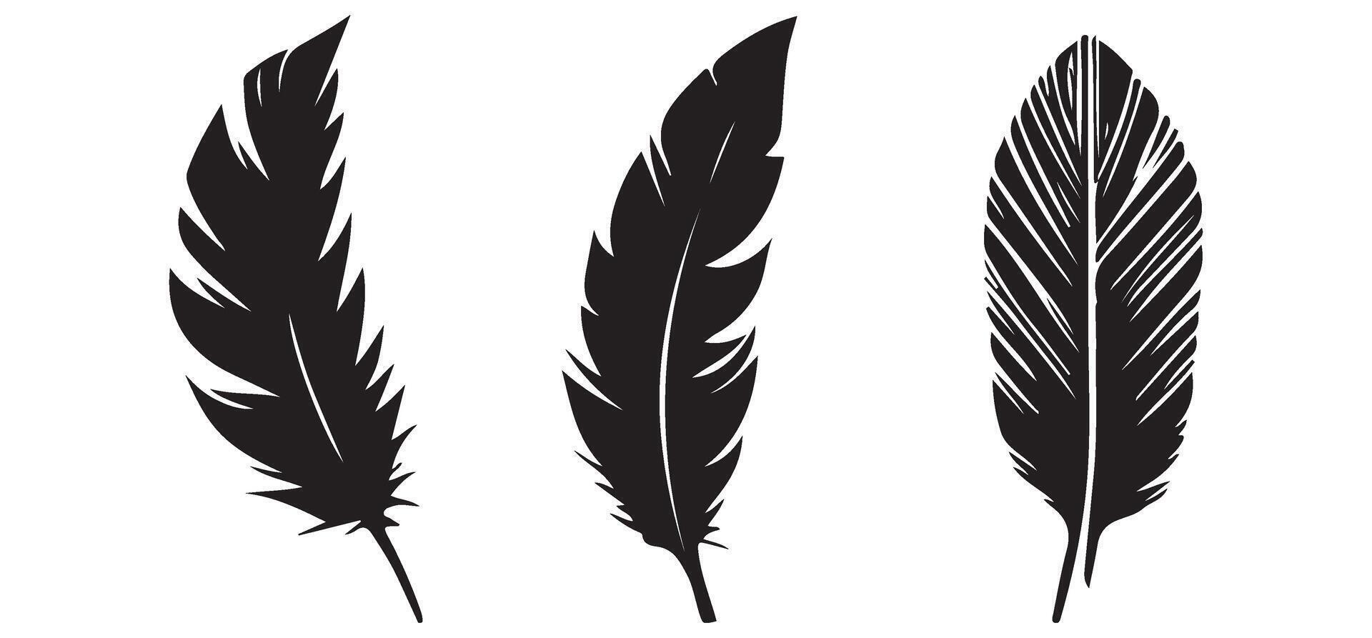 Feather Illustration Set for Writing and Artistic Graphic Design vector