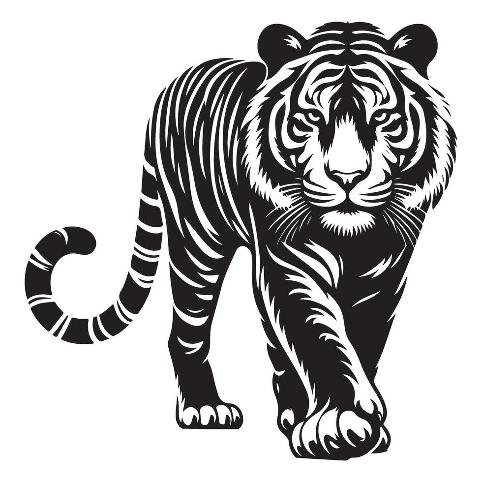 Tiger illustration bold stripes majestic walking animal image vector