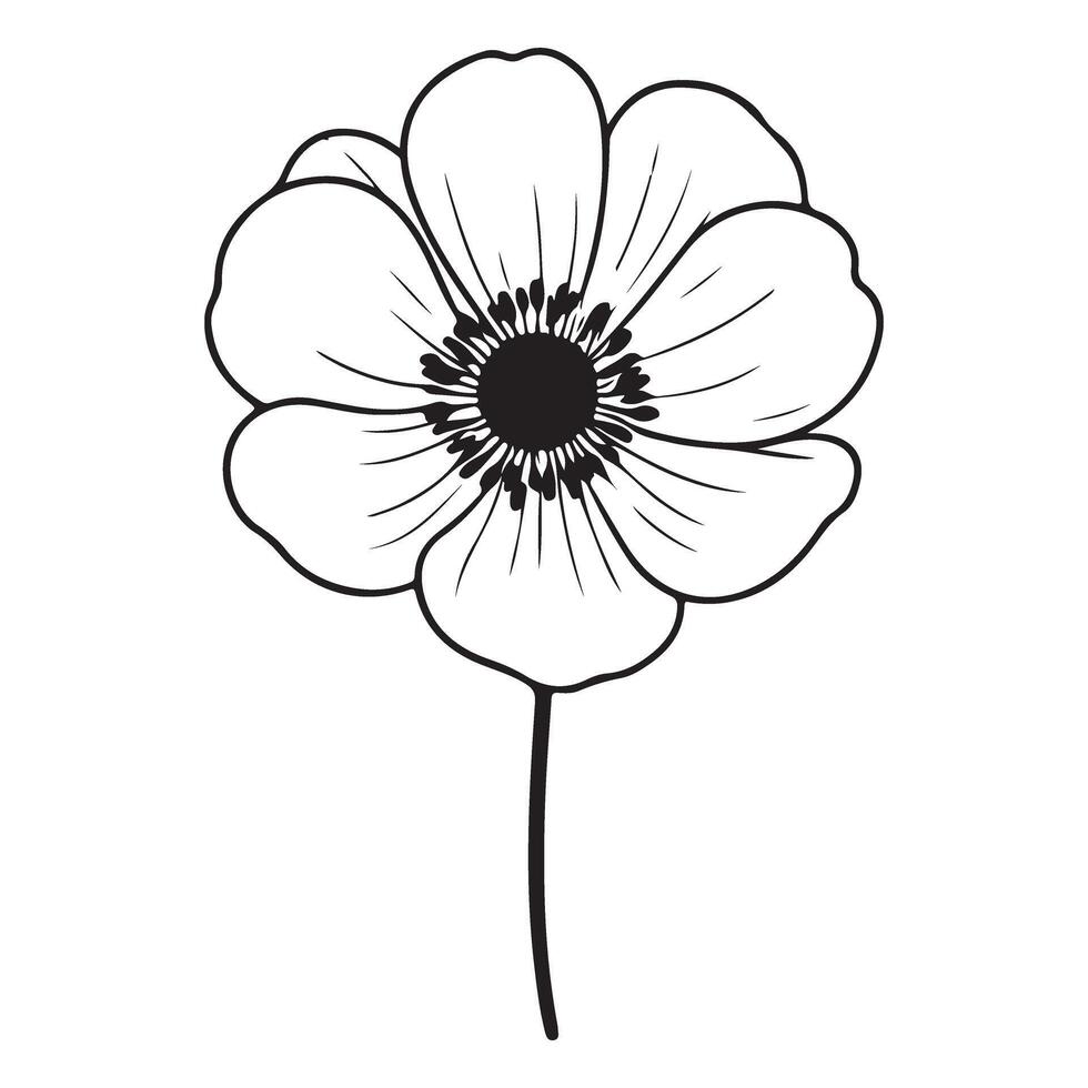 Anemone Flower Detailed Line Art Illustration Botanical Beauty vector