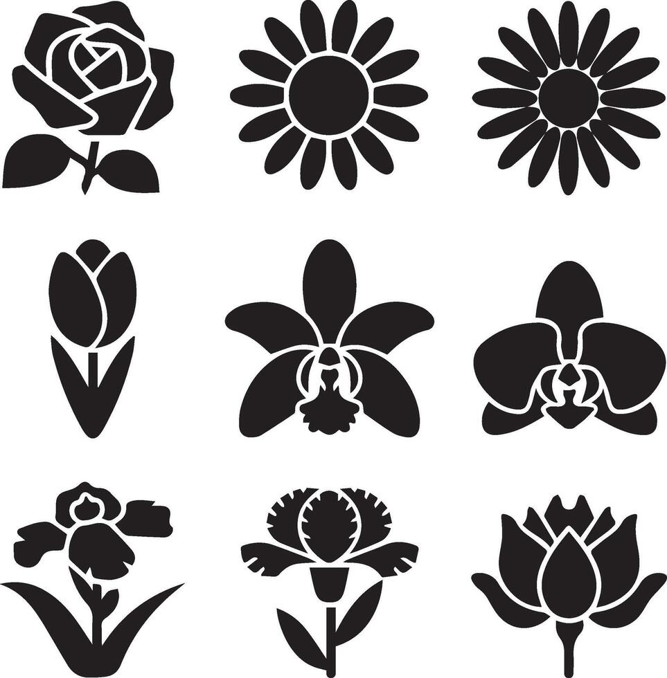 Black and white flowers and plants vector