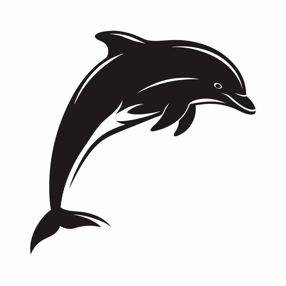 Dolphin jumping on white background vector