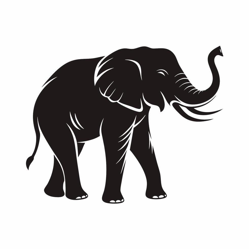 An elephant is standing in front of a white background vector