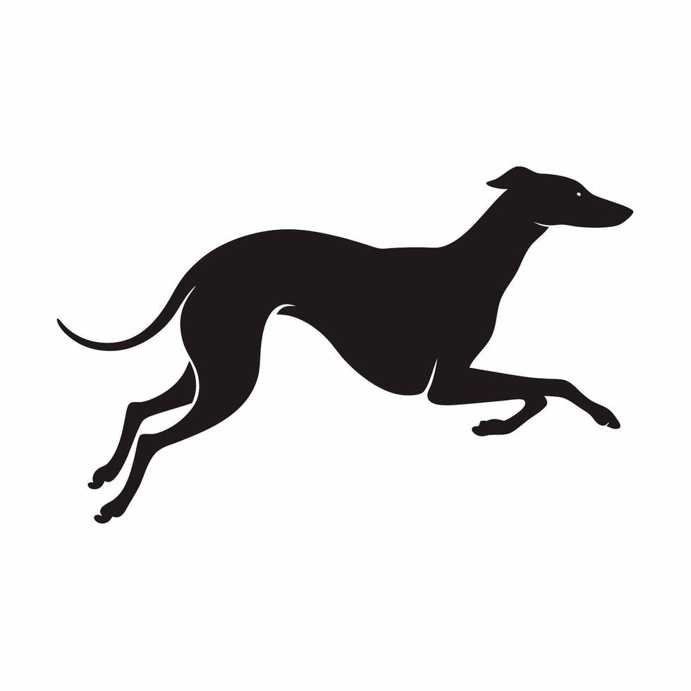 A black and white silhouette of a greyhound running vector