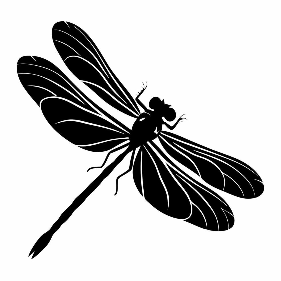 Dragonfly silhouette on white background vector