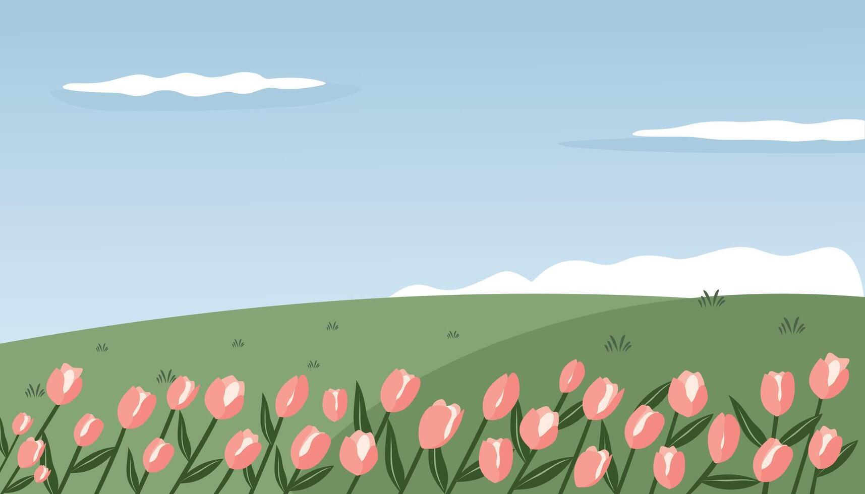 Tulips on the hill. Blooming flower. Spring time. Hill with flowers. Sunny day on the hill. vector