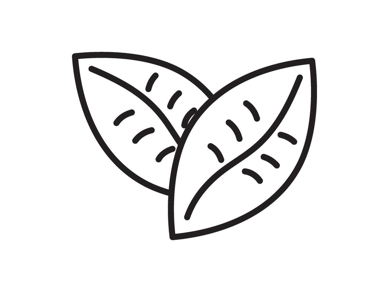 A black and white drawing of two leaves vector