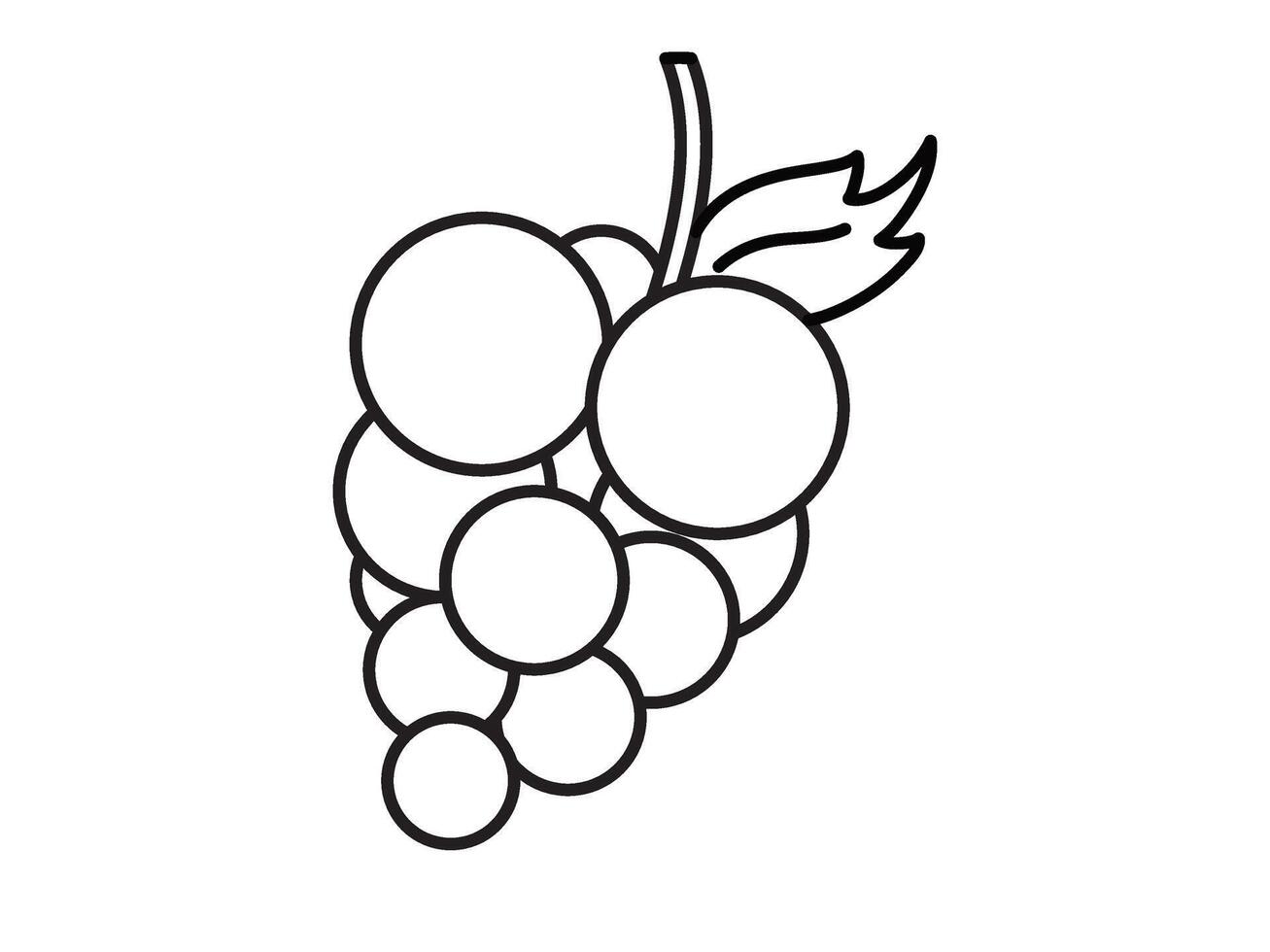 Grapes coloring page for kids vector