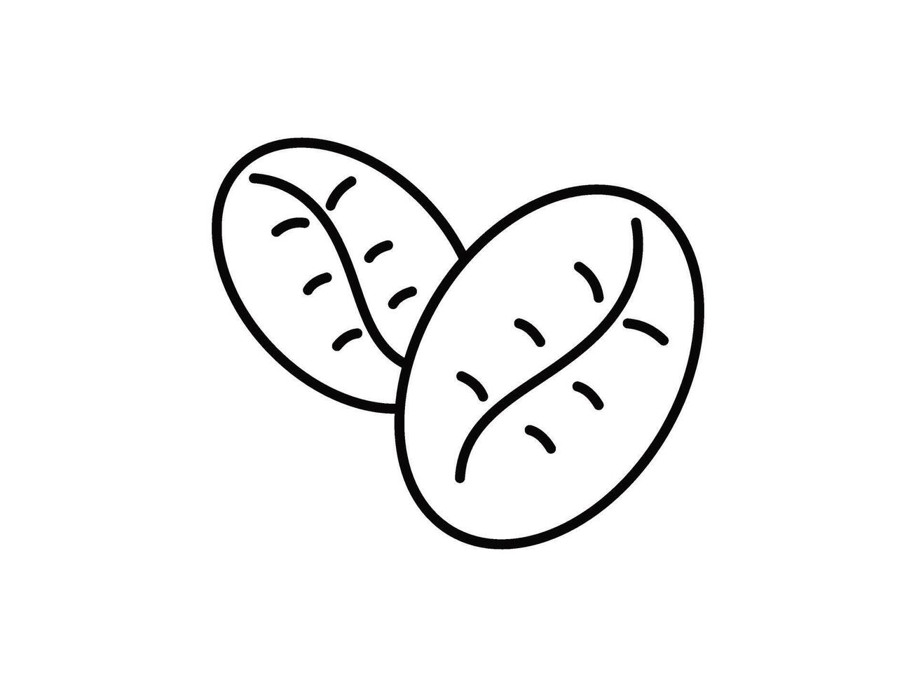 Two coffee beans are shown in a line drawing vector