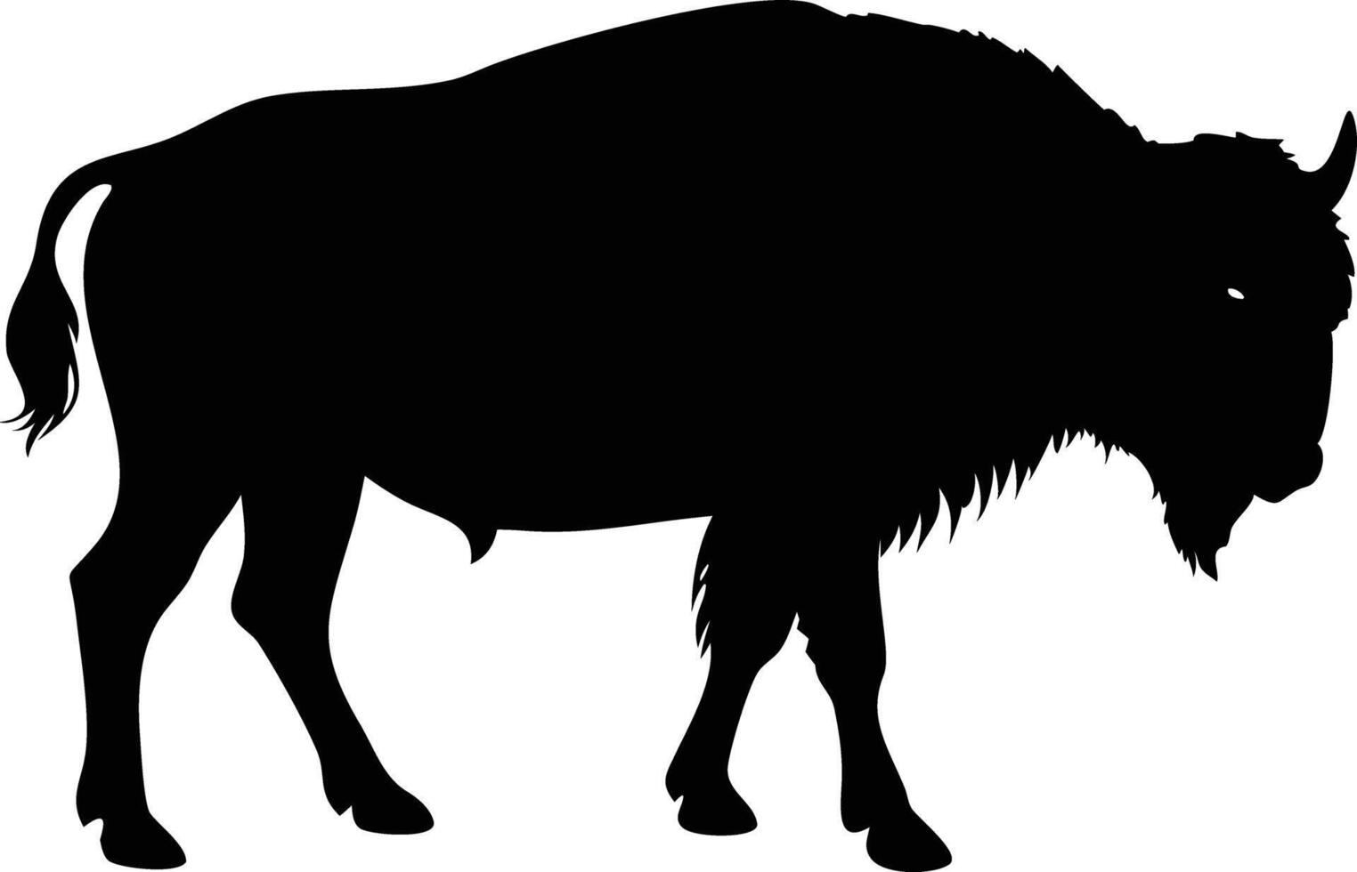 Silhouette of a Standing American Bison, Wildlife Animal, Isolated on White vector